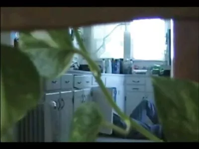 આબોની વ્યક્તિ તેની સફેદ gf વીડીયો સેકસી વેચે છે