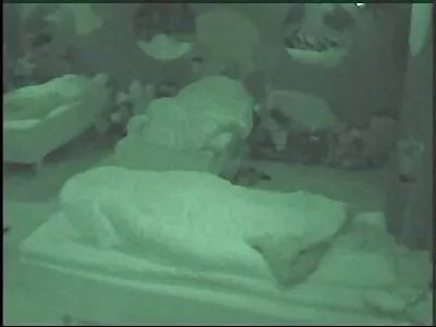 યુવાન સુંદર સેકસી વીડીયો આપો શ્યામા ચૂસીને ટોટી